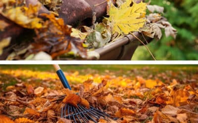 Ramassage des feuilles à Poitiers | L’Art et la Matière