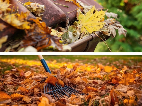 Ramassage des feuilles à Poitiers | L’Art et la Matière